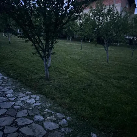 Markovi Konaci